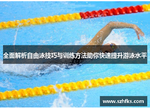 全面解析自由泳技巧与训练方法助你快速提升游泳水平